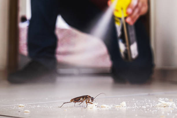 Best Wasp Removal Services  in Williamsport, PA